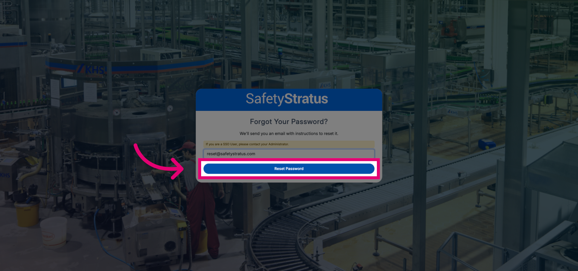 Click Reset Password Button