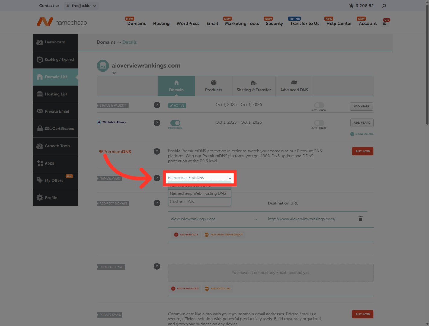 Select Basic DNS Option