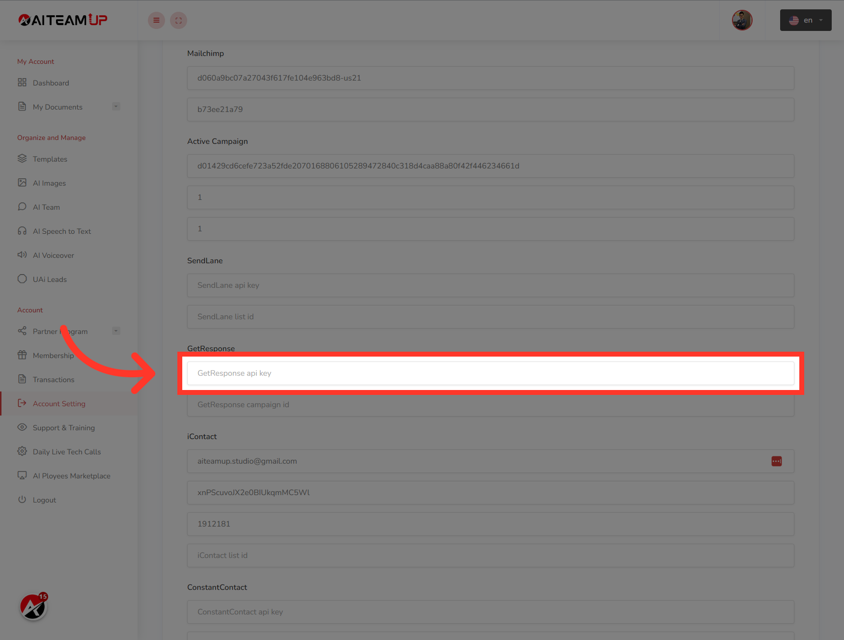 Click 'GetResponse api key'
