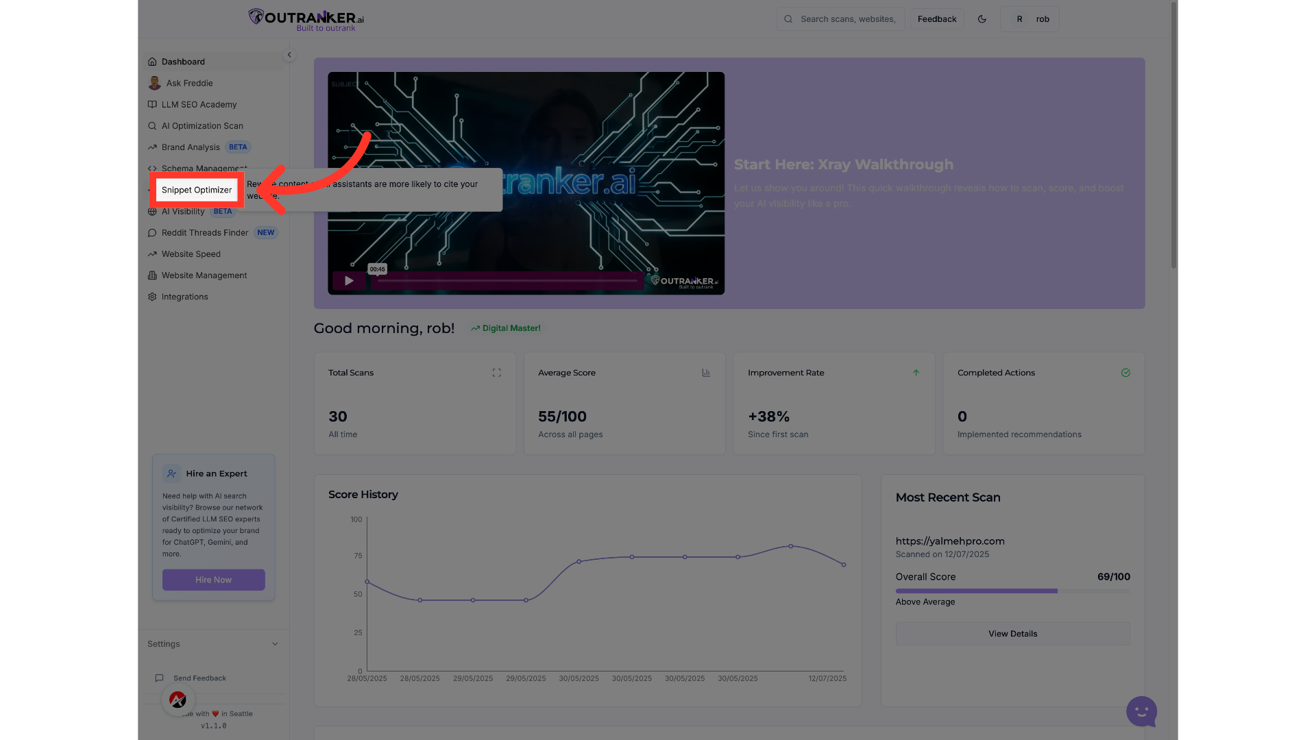 Click 'Snippet Optimizer'