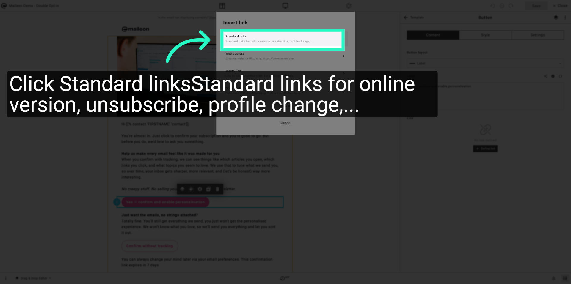 Select Standard Links Option