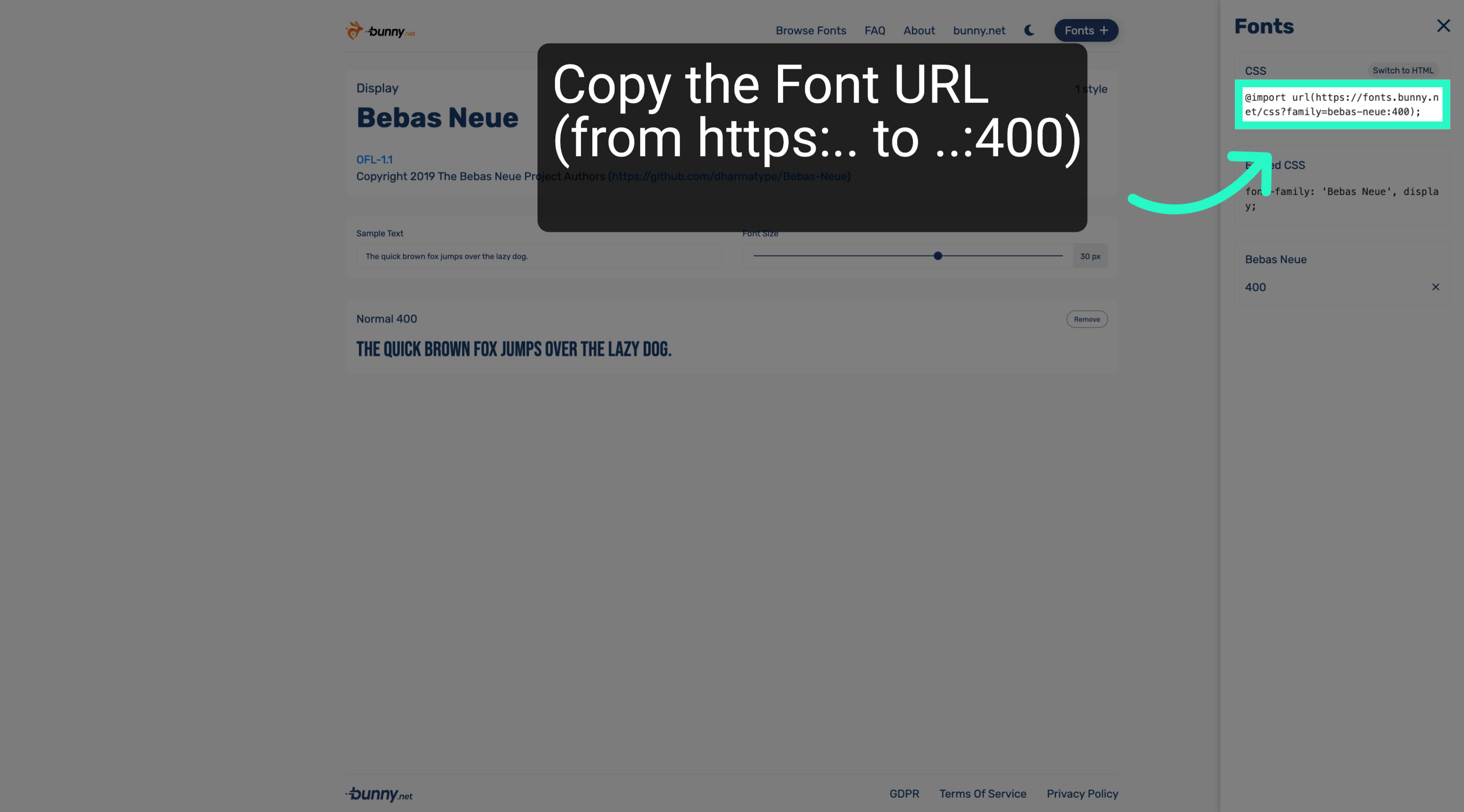 View Font Embedding Options