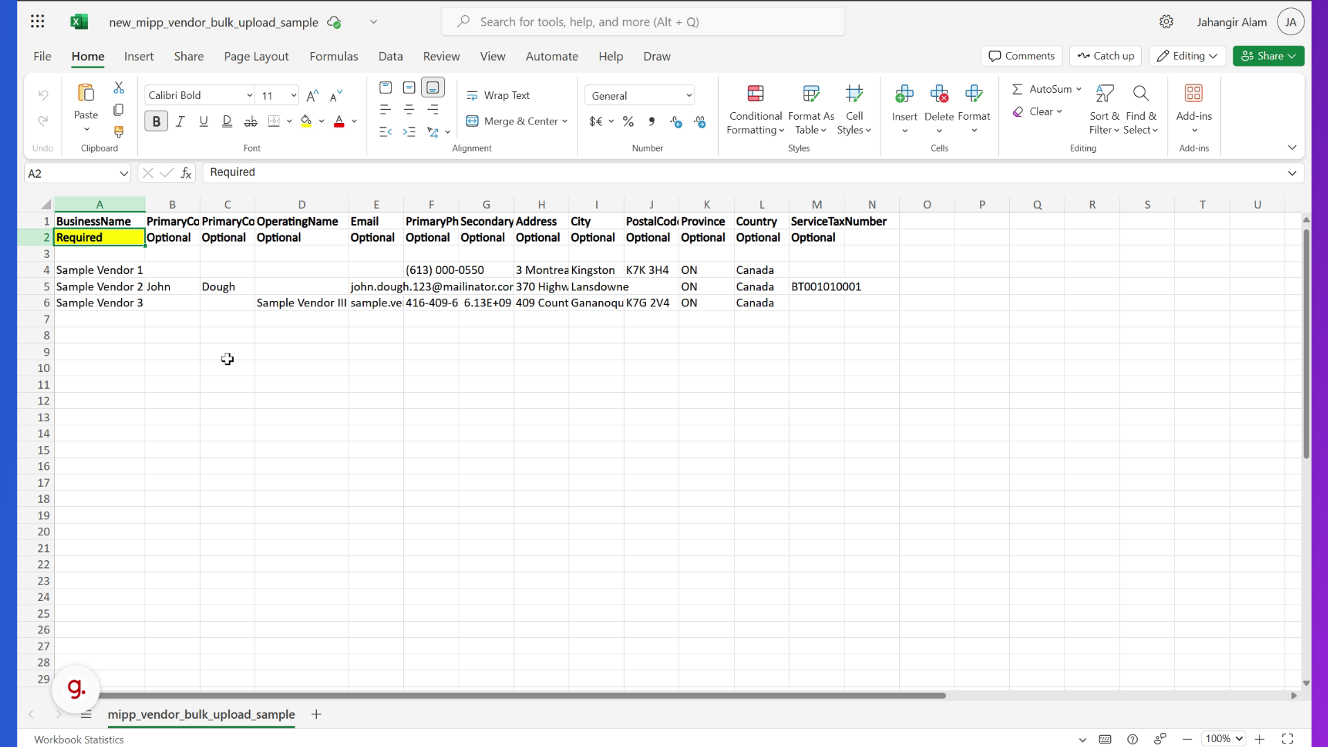 Open the Vendor data file template and enter the Business Name in the BusinessName column (Required)