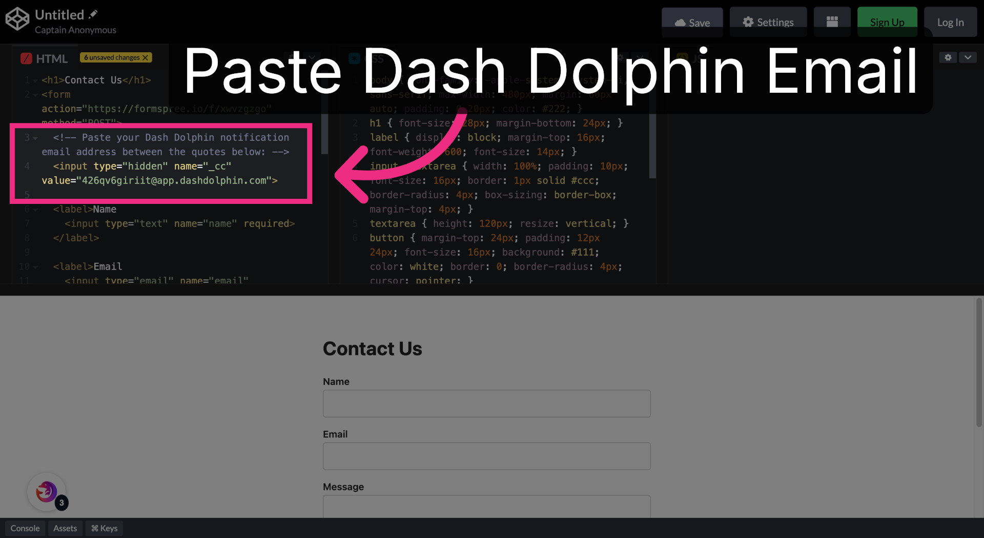 Add the Dash Dolphin Email