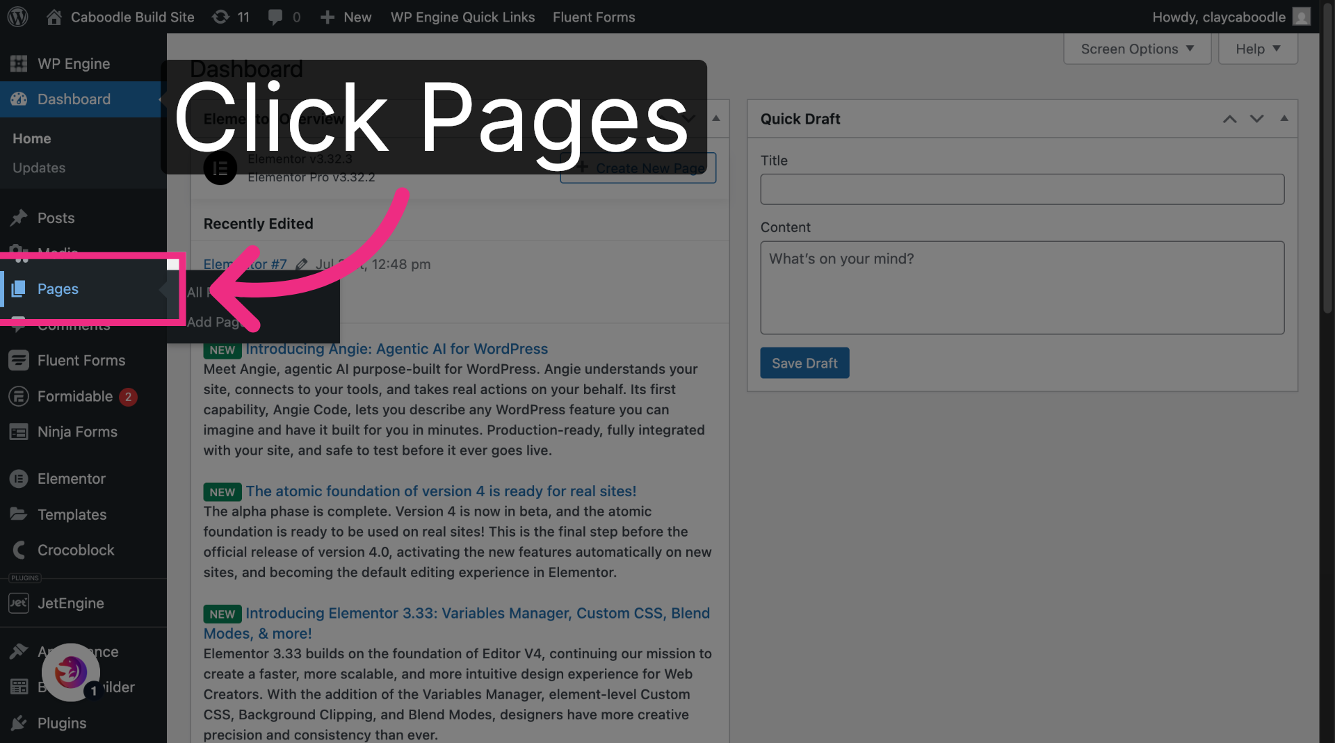 Open Pages Section