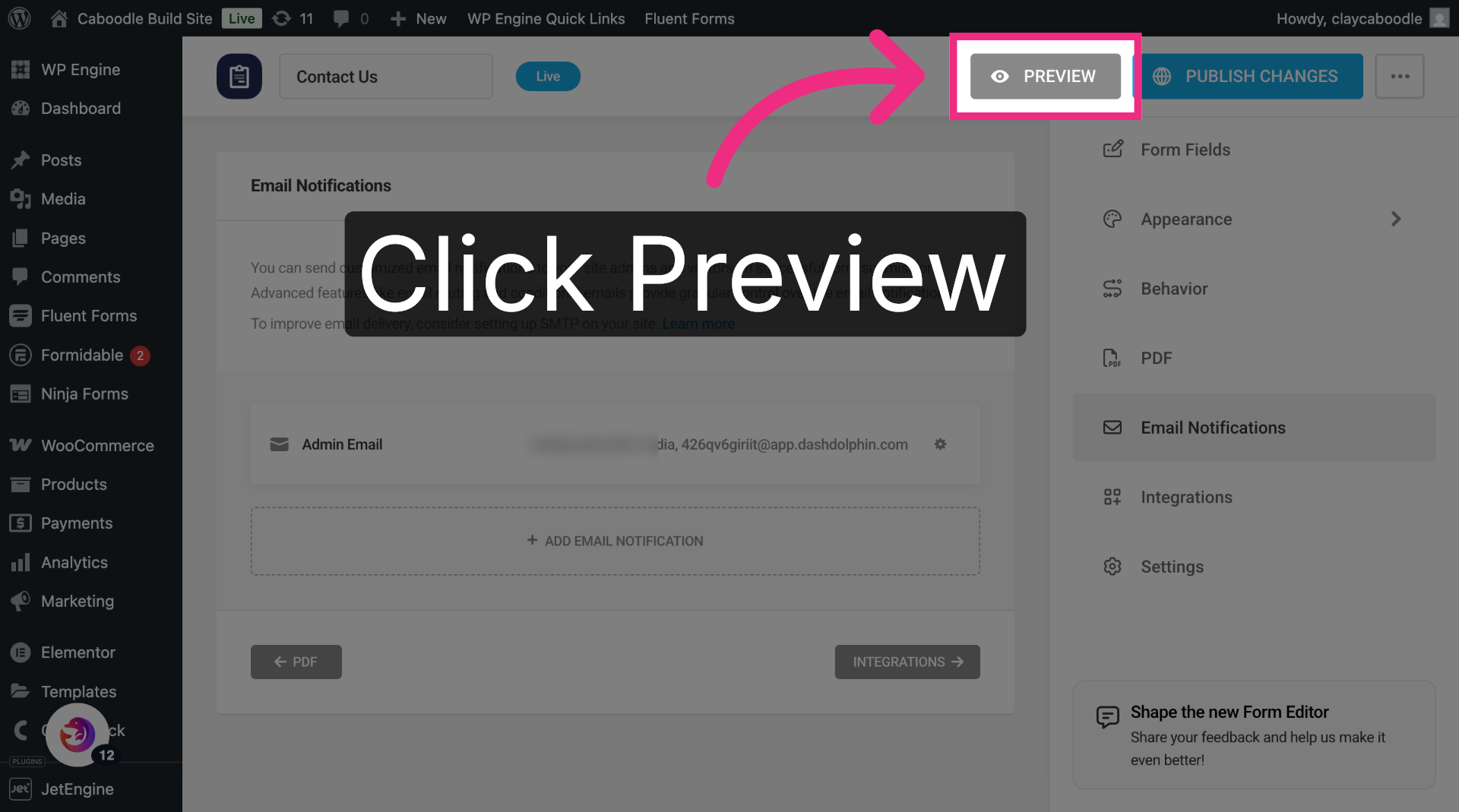 Preview Your Form