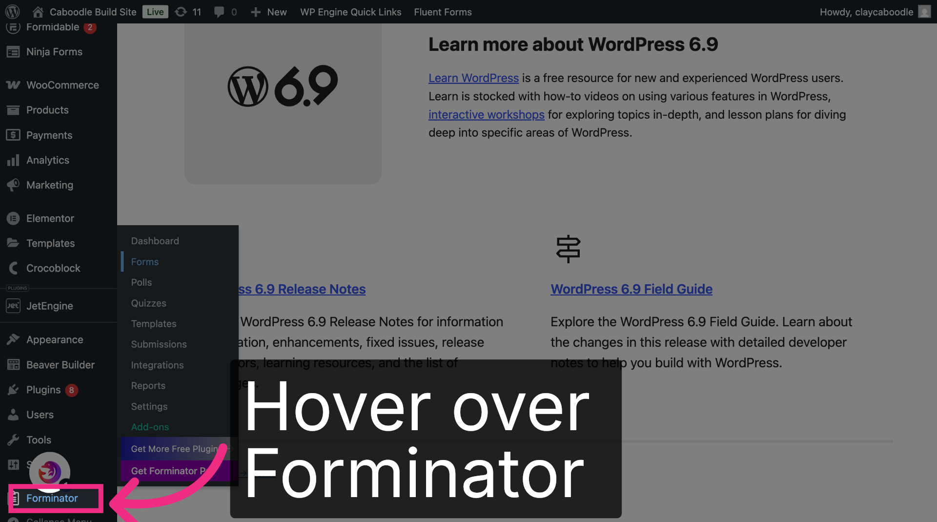 Open Forminator
