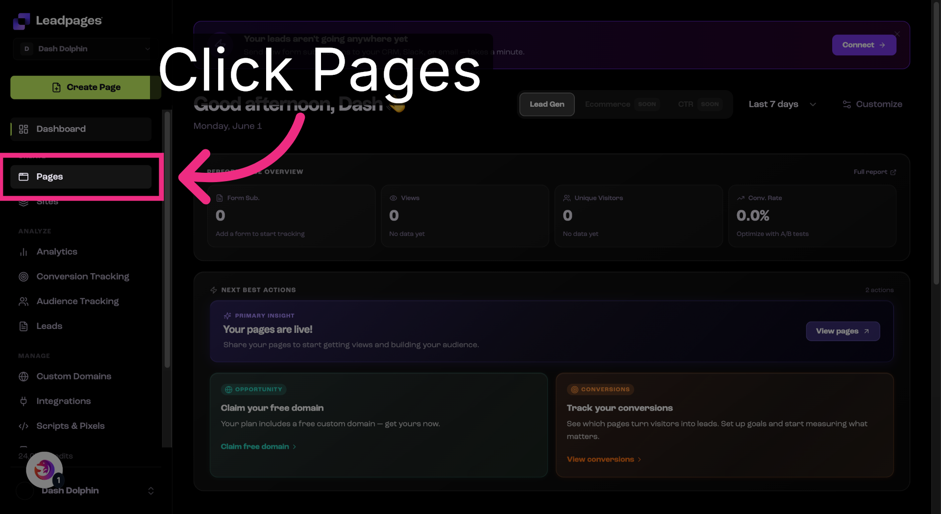 Open Pages Section