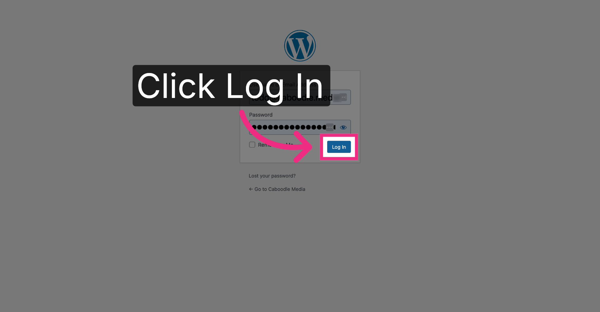 Log Into WordPress Account