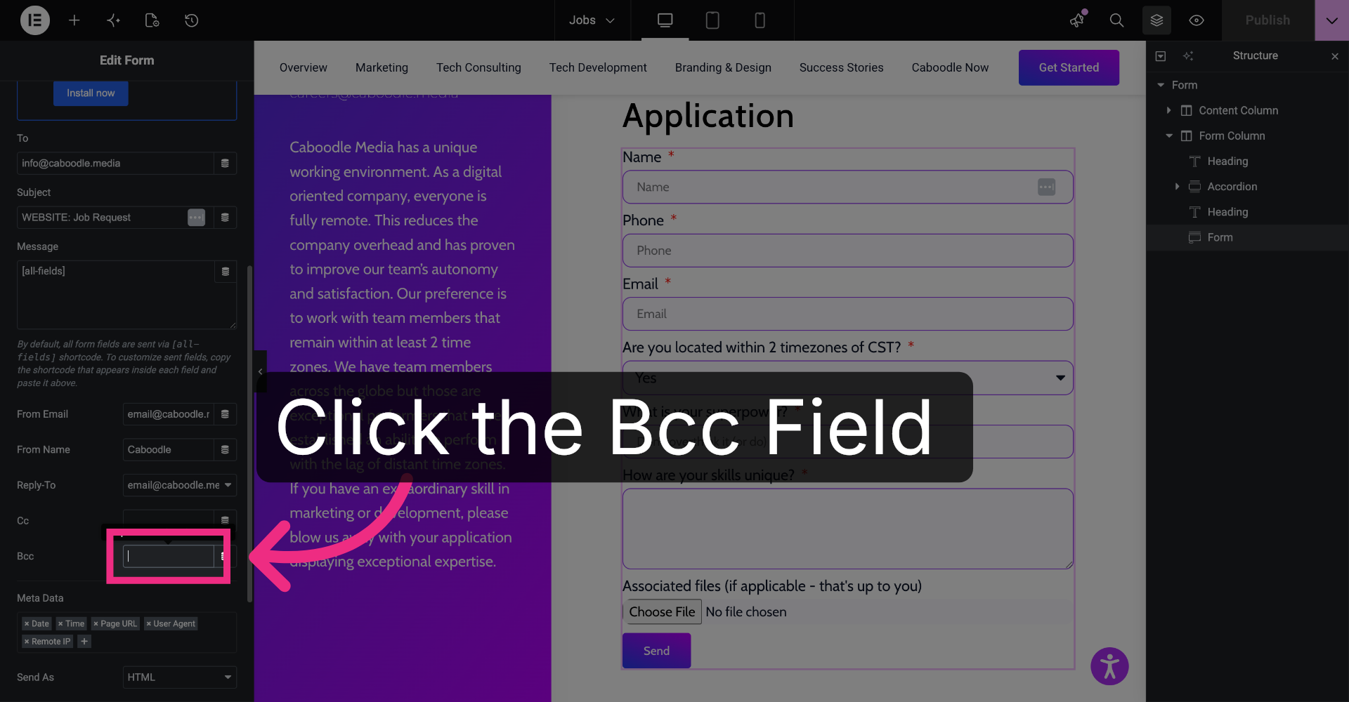 Open BCC Field