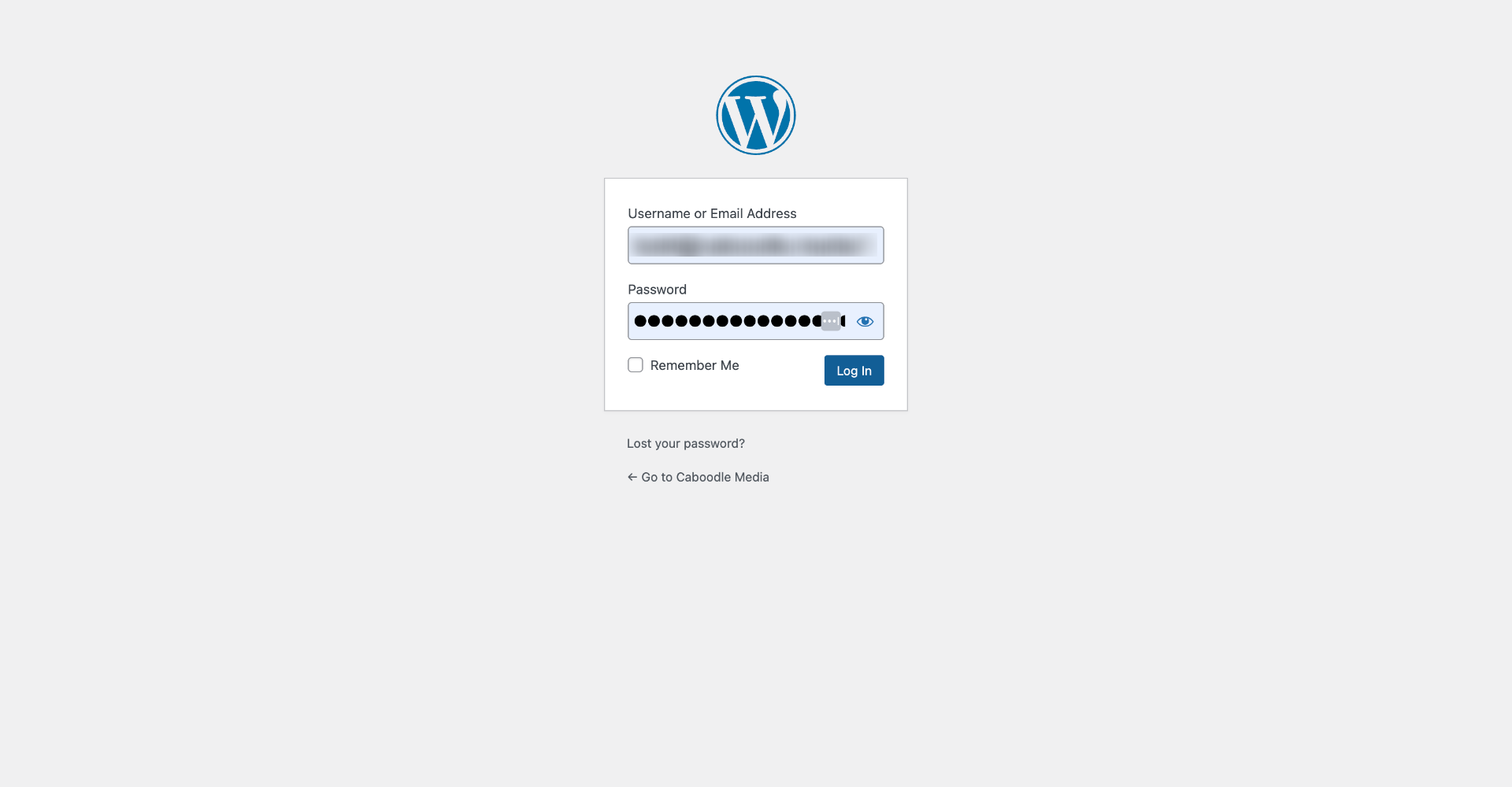 Access Your Wordpress Page
