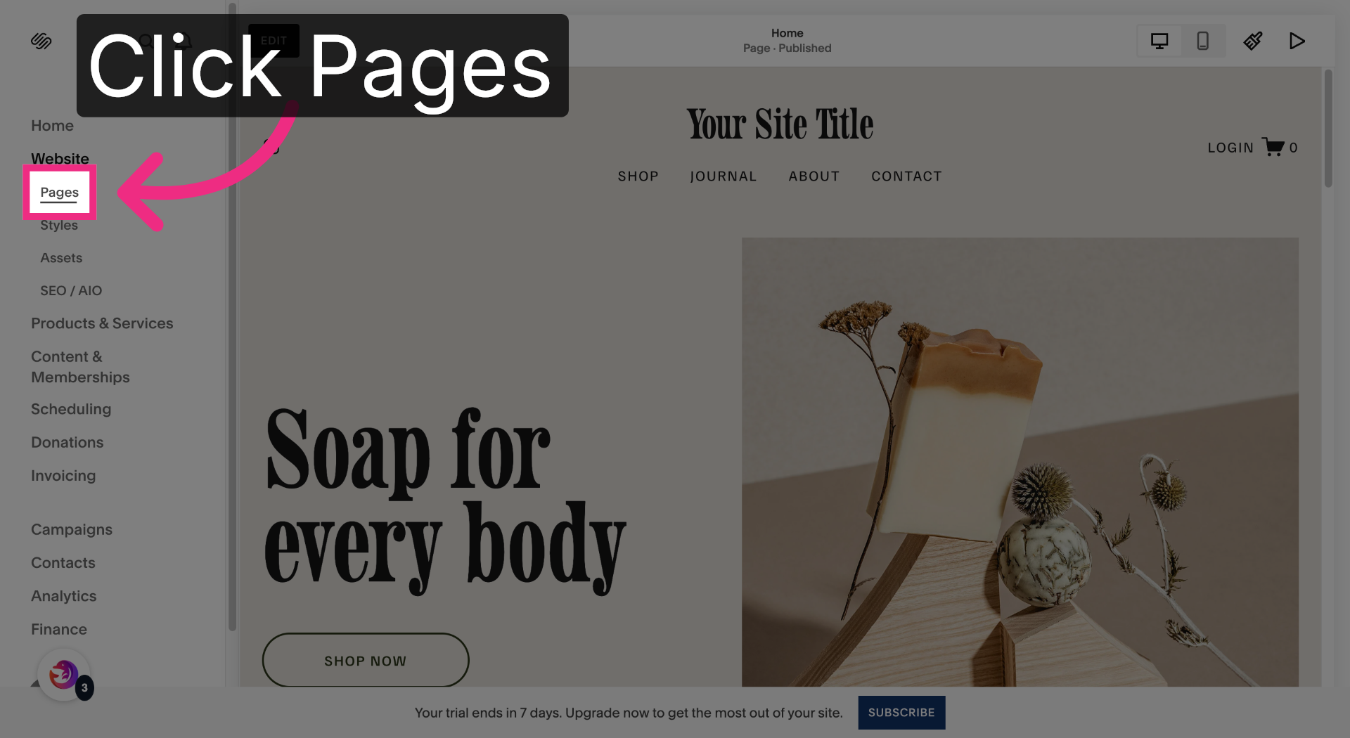 Open Pages Section