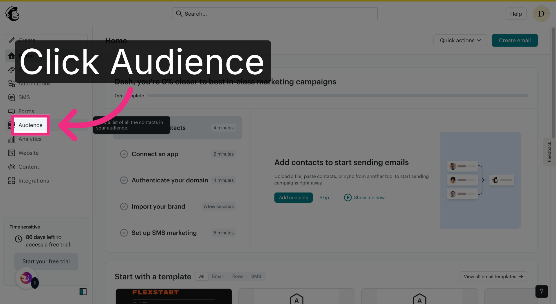 Open Audience Section