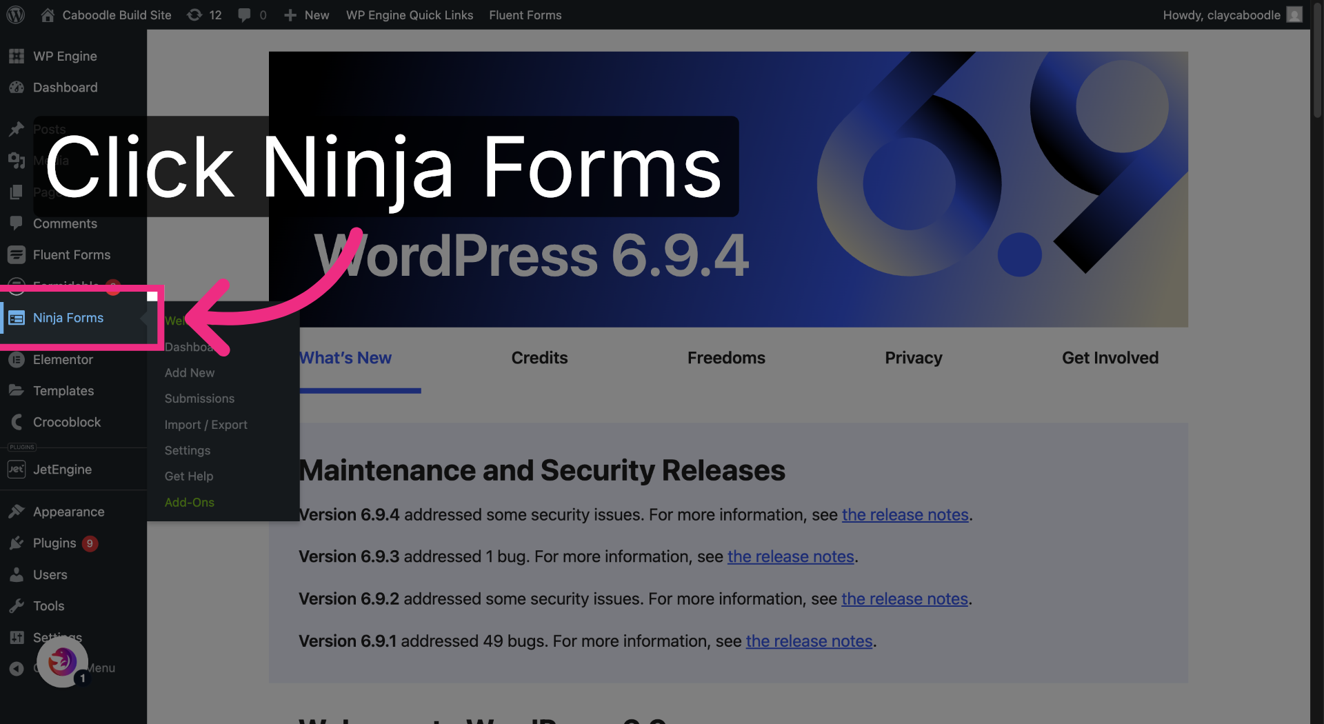 Open Ninja Forms Plugin
