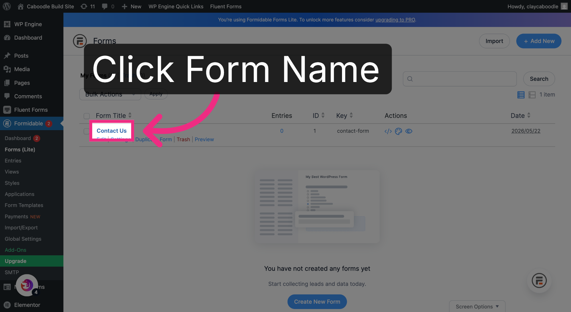 Open the Form