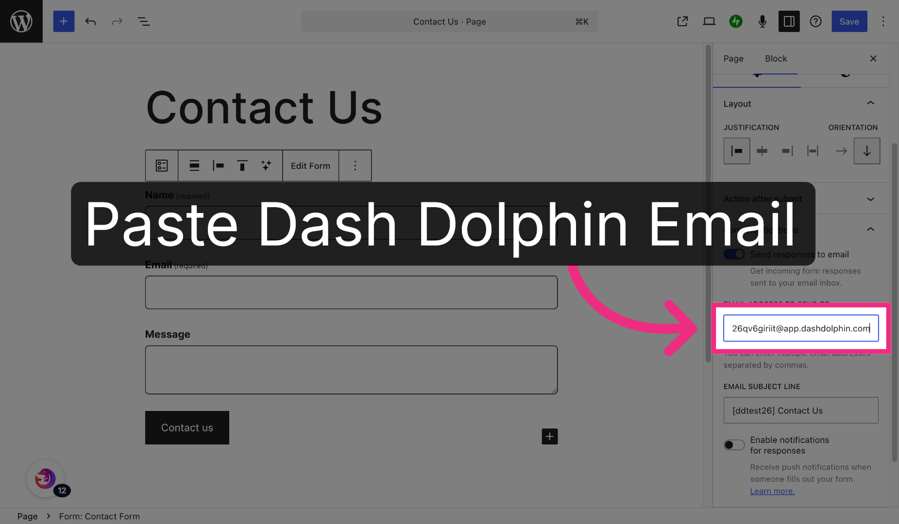 Enter Dash Dolphin Email