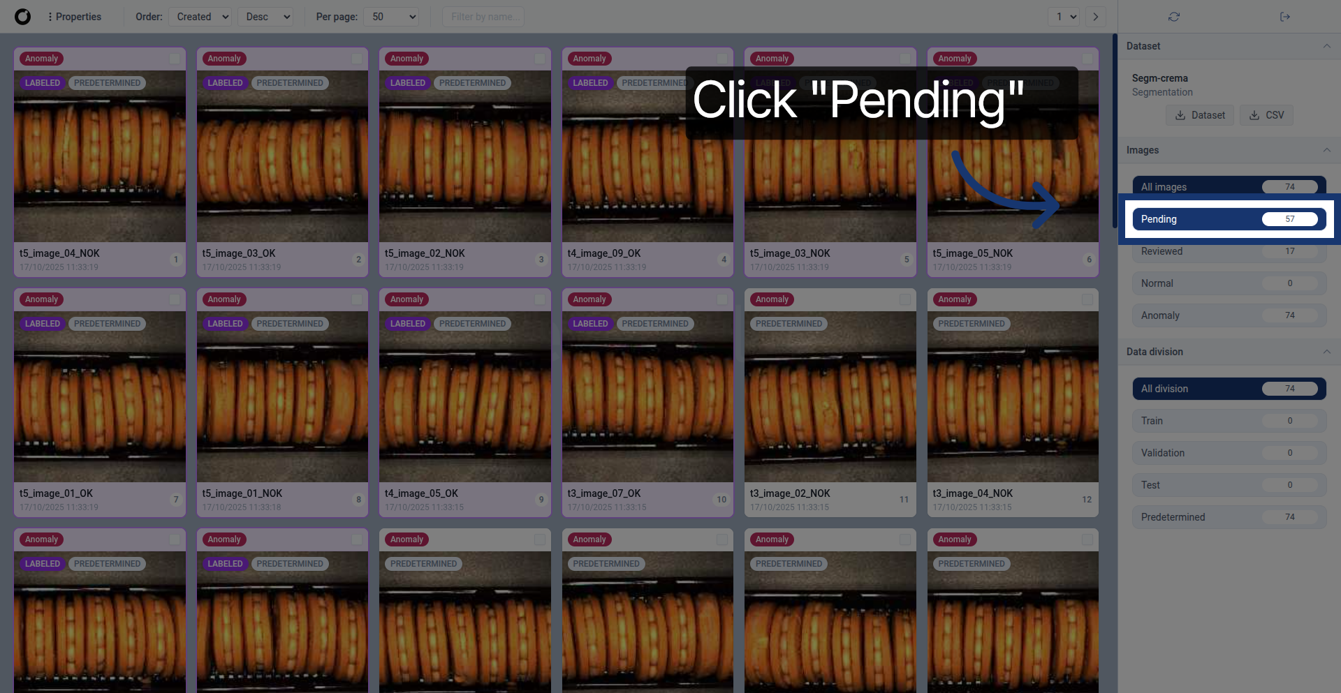 Select Pending Dataset