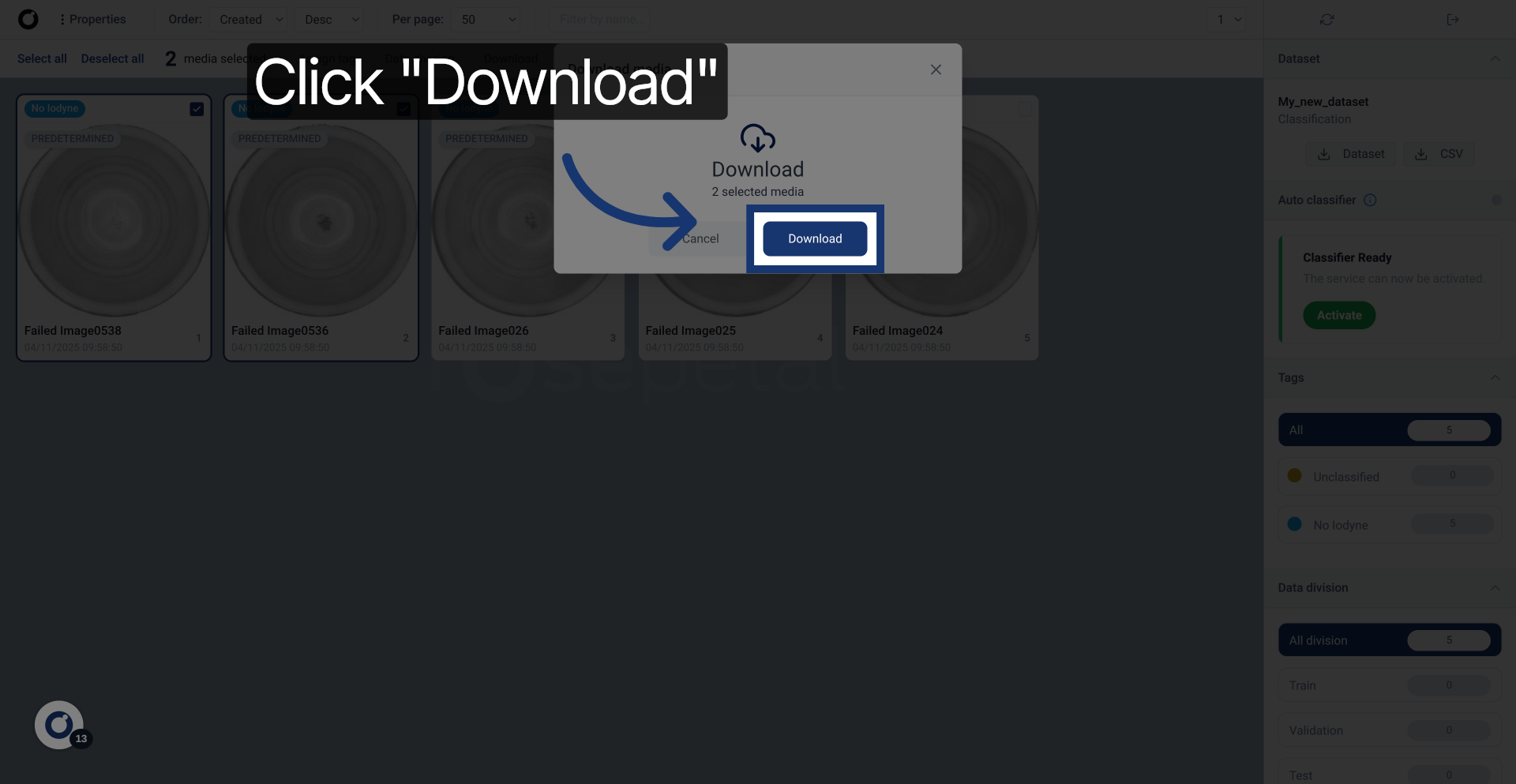 Complete Dataset Download