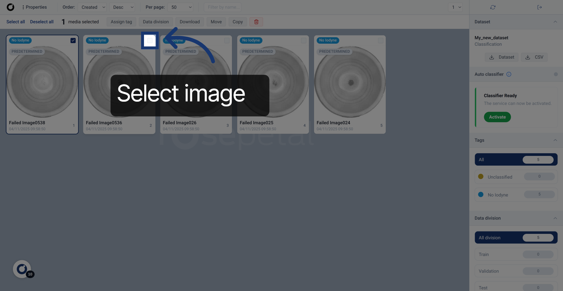 Choose Dataset Identifier