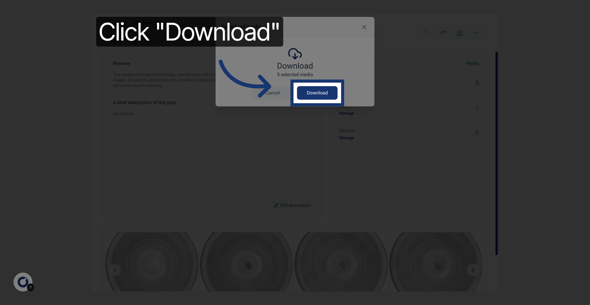 Confirm Dataset Download