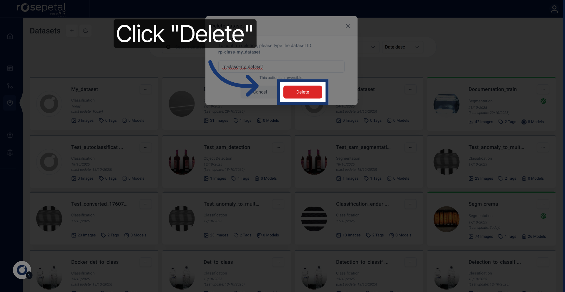 Confirm Dataset Deletion