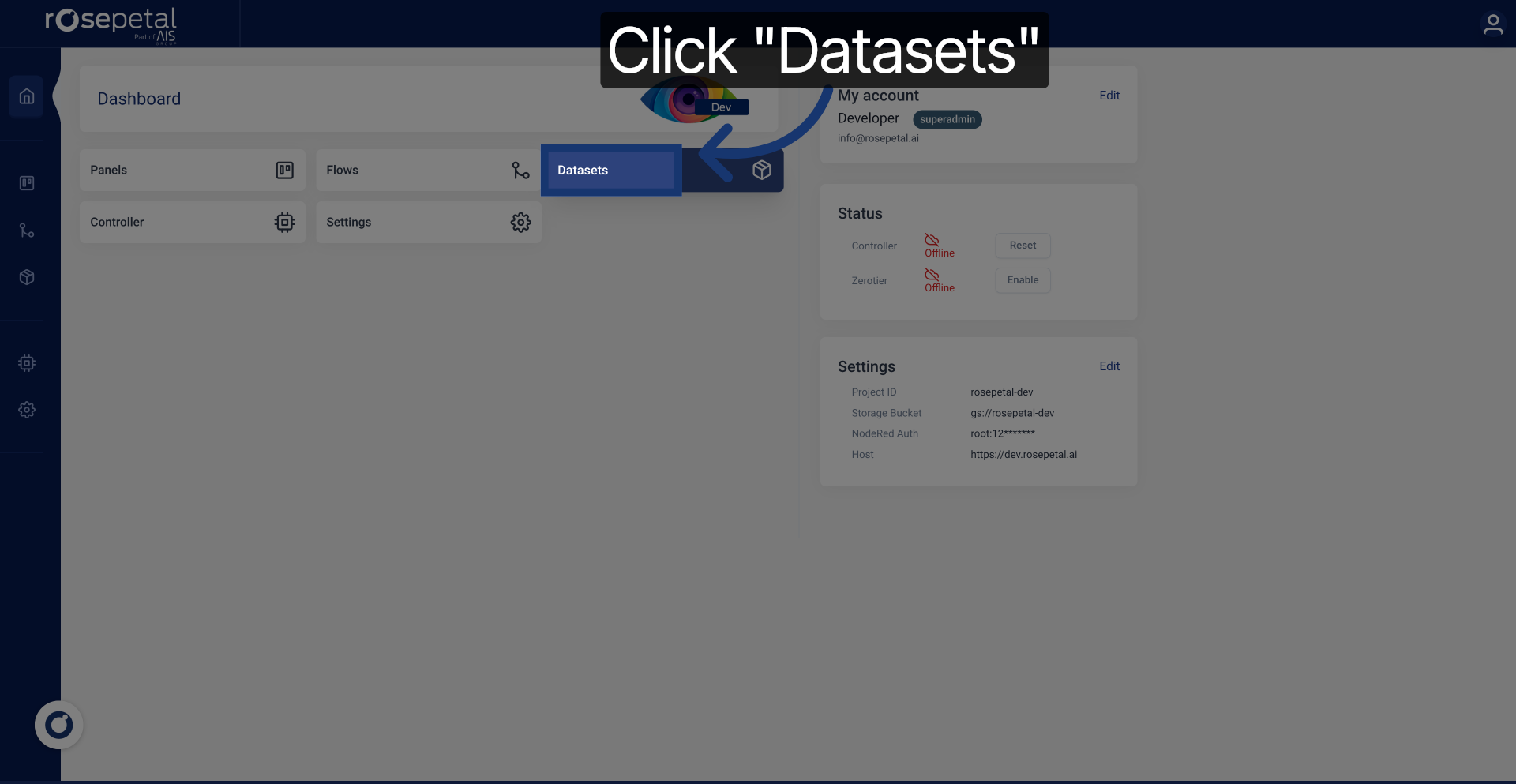 Navigate to Datasets Section
