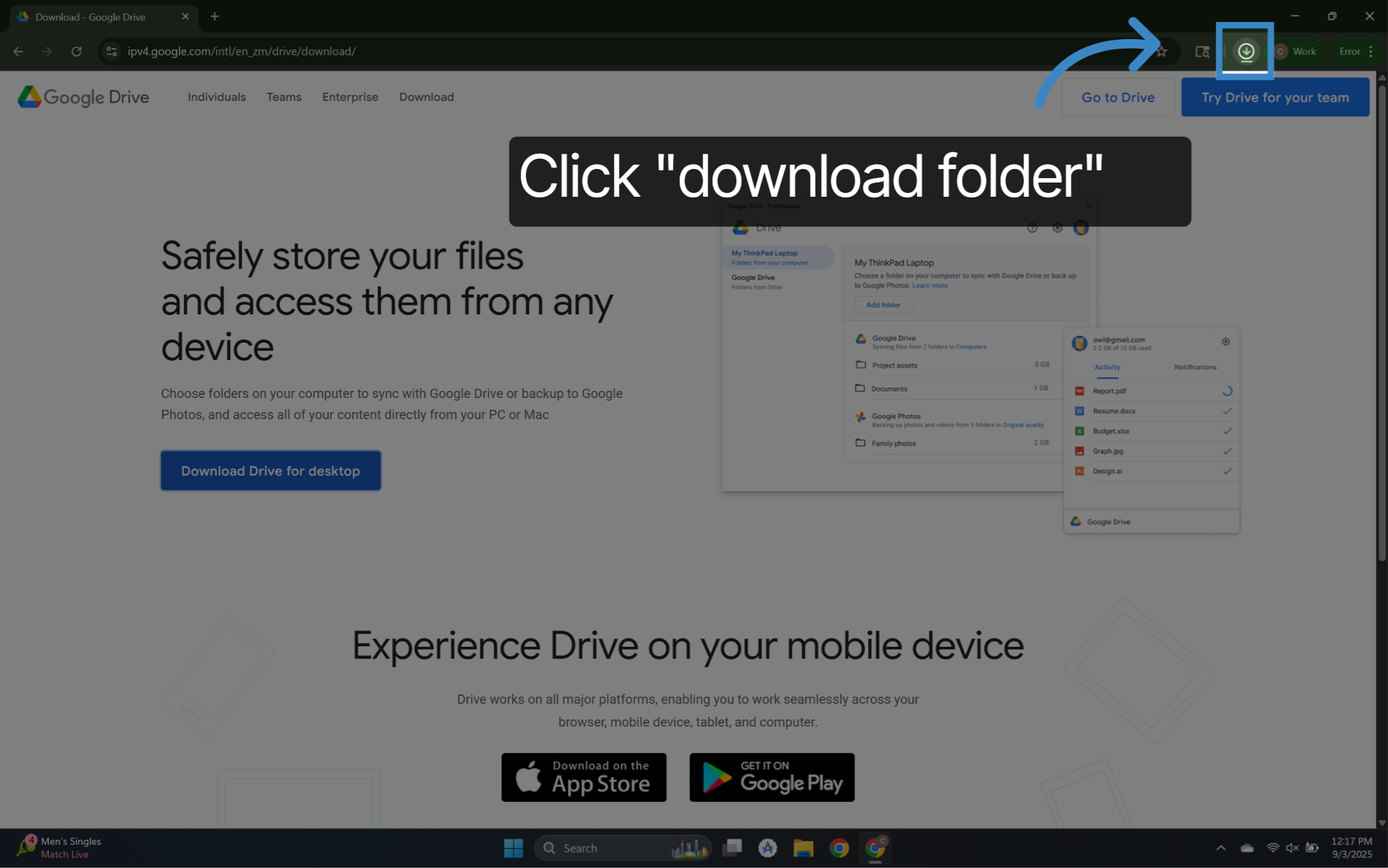 Click 'download folder'