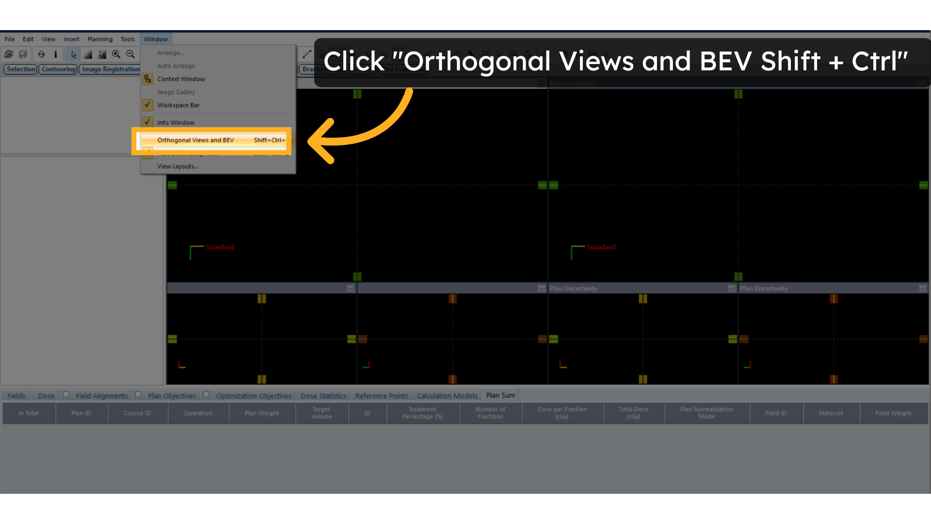 Click 'Orthogonal Views and BEV Shift + Ctrl'