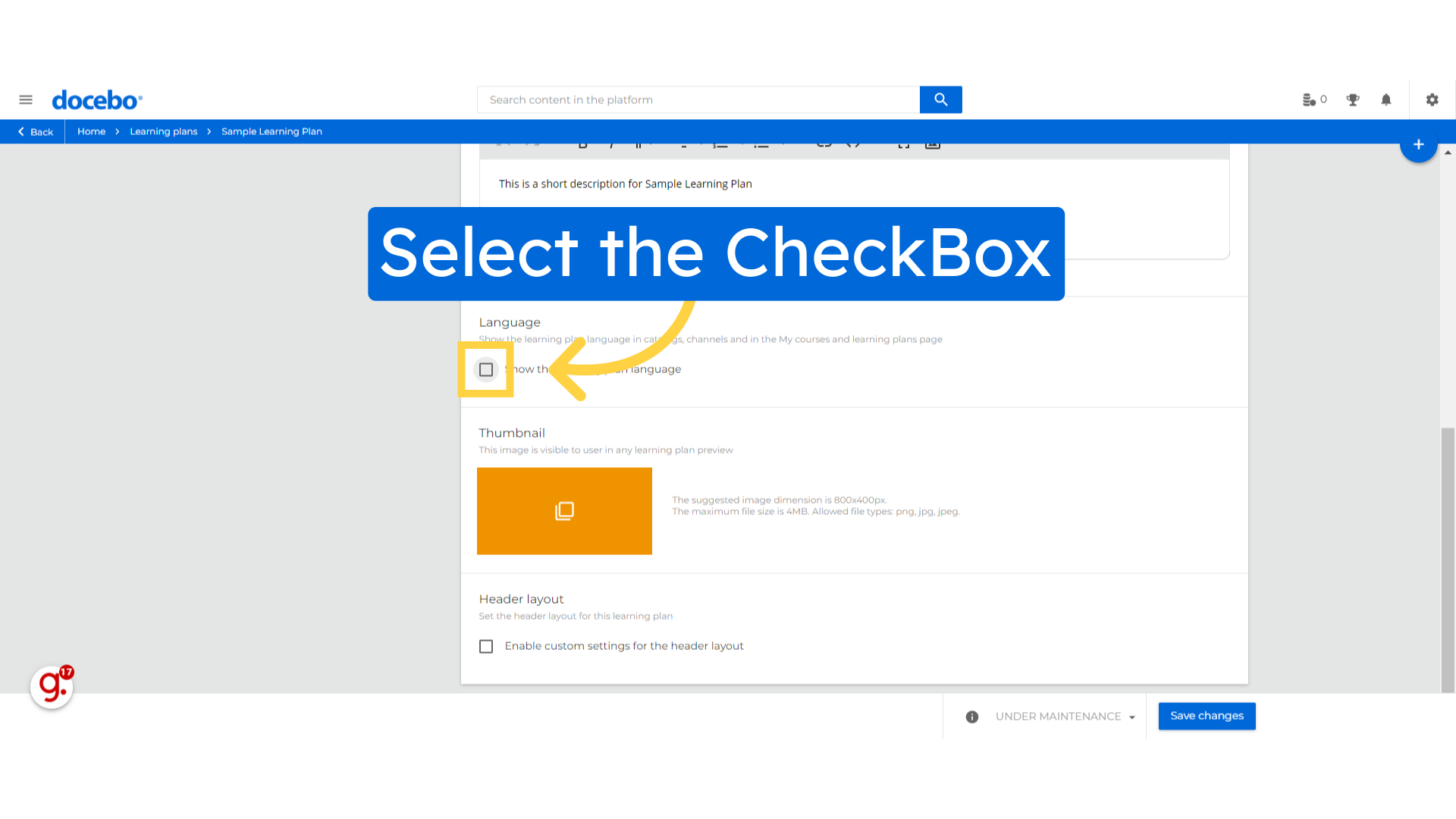 Select the CheckBox