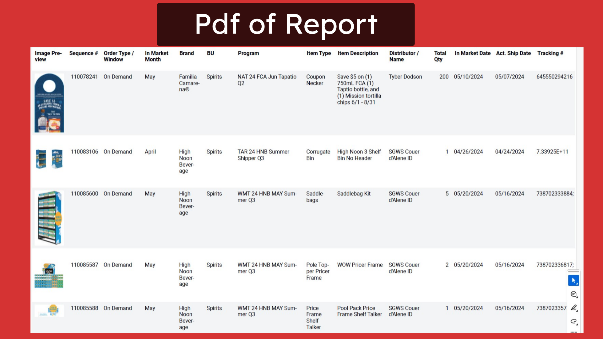 Pdf of Report