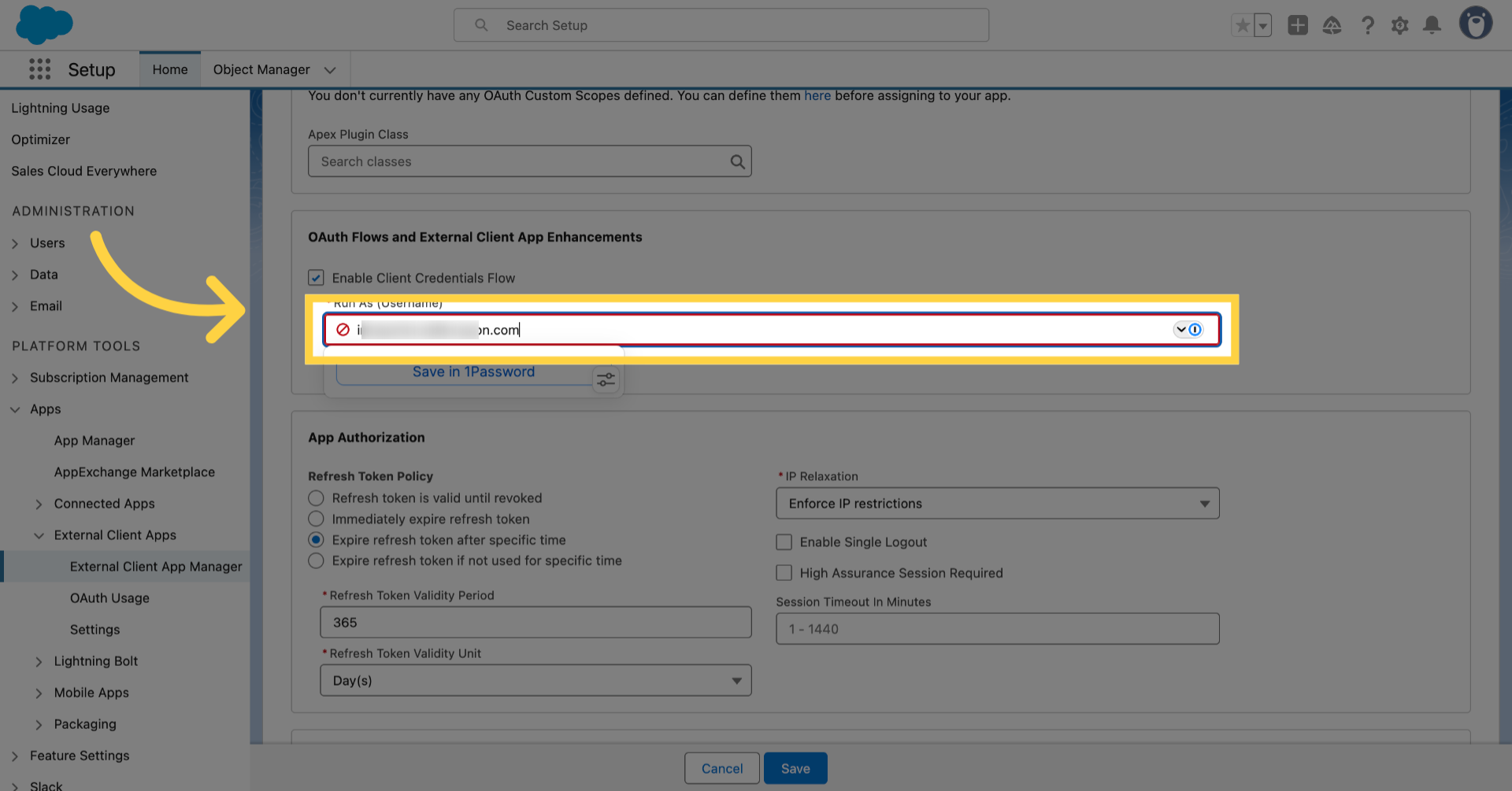 Put your username/email address