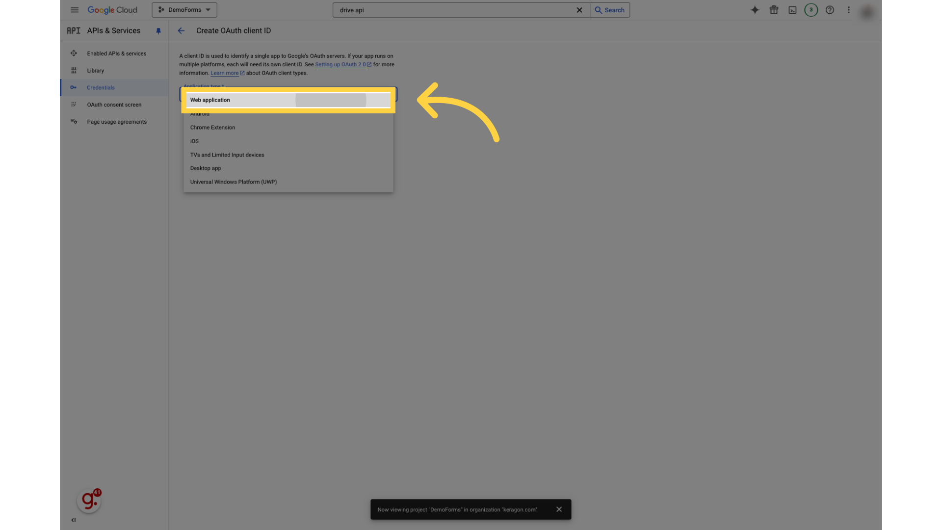 Select 'Web application'