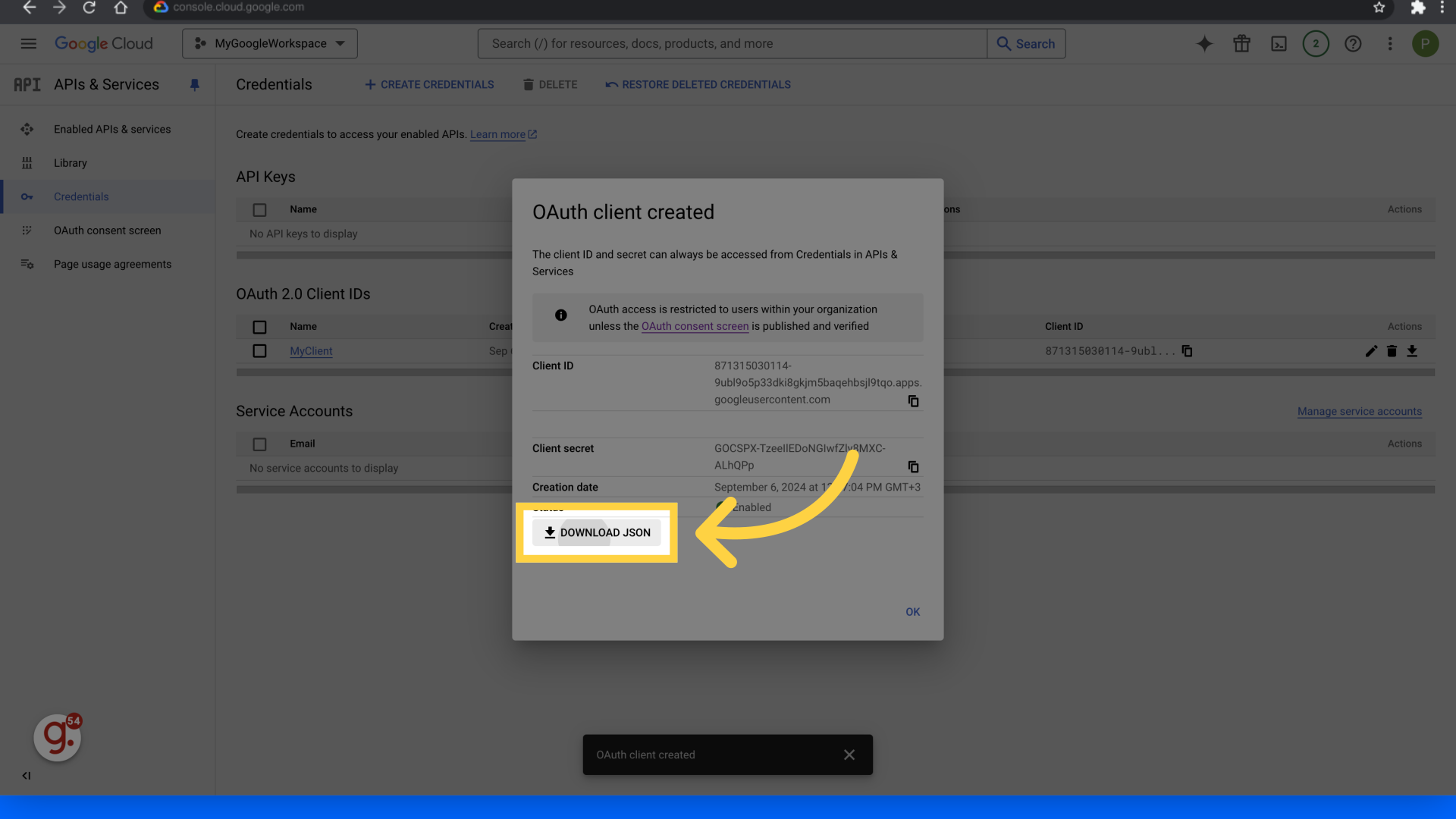 Click 'Download JSON'
