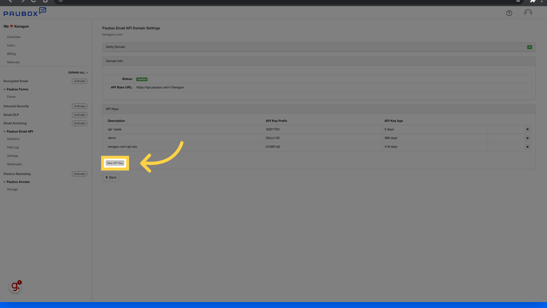 Click 'New API Key'