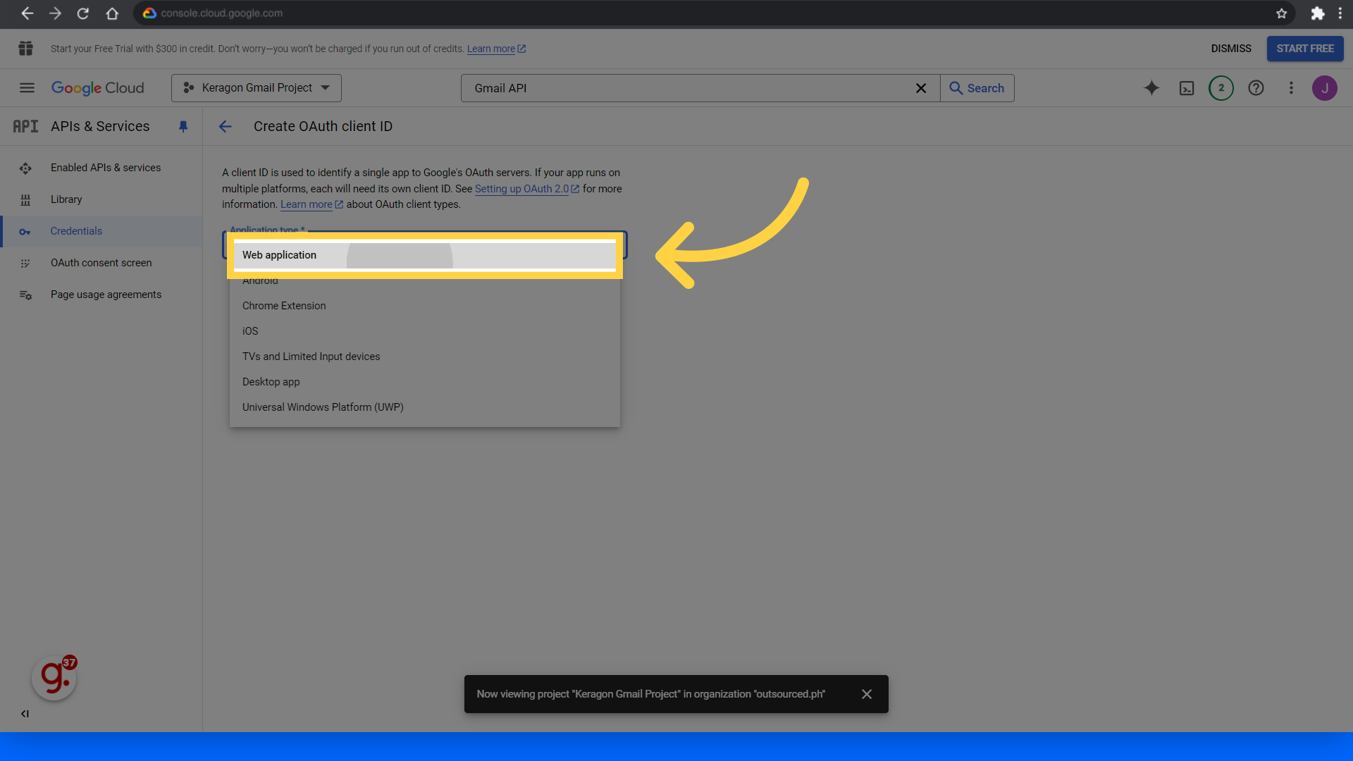 Click 'Web application'