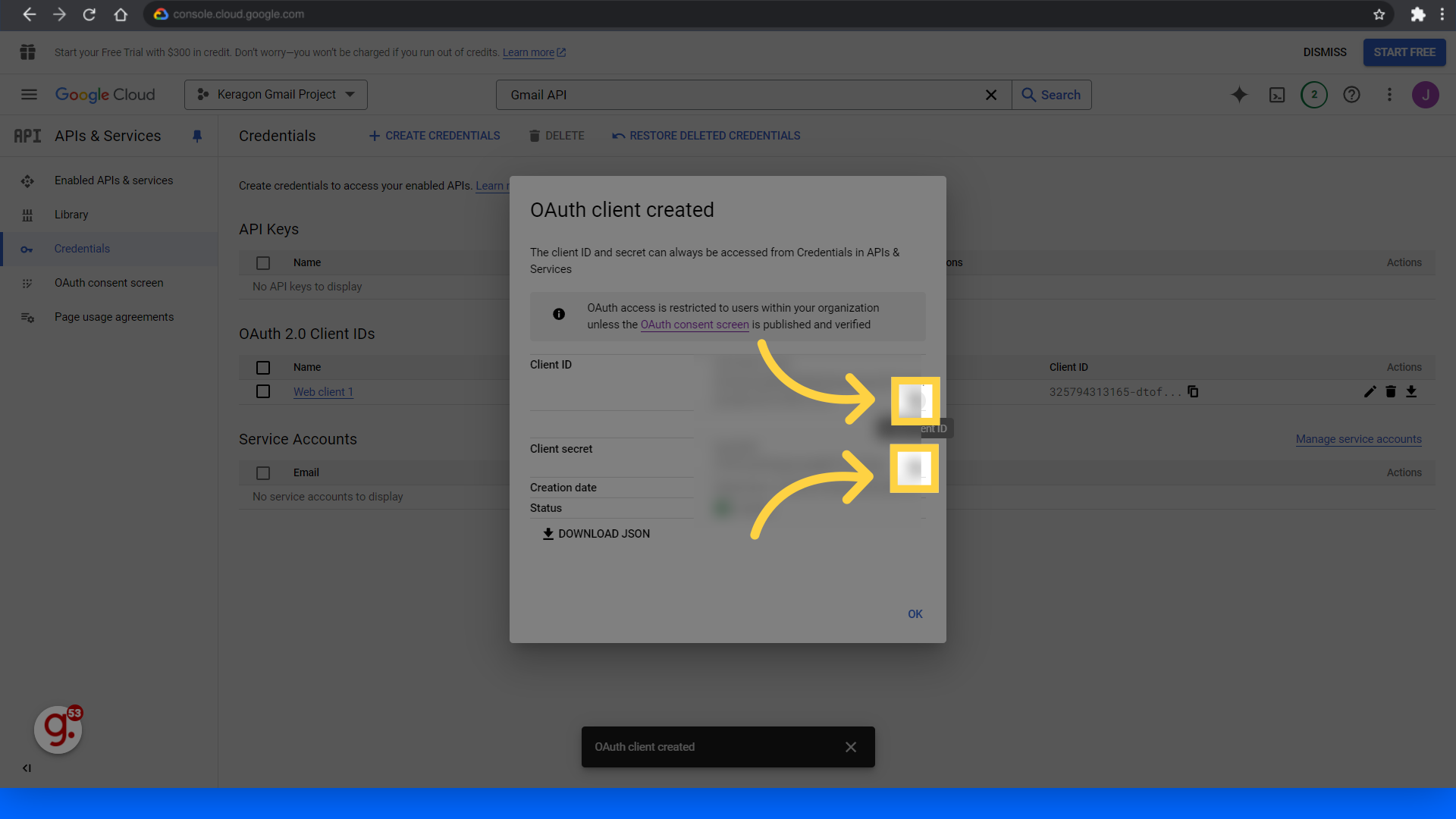 Copy your Client ID and Client Secret