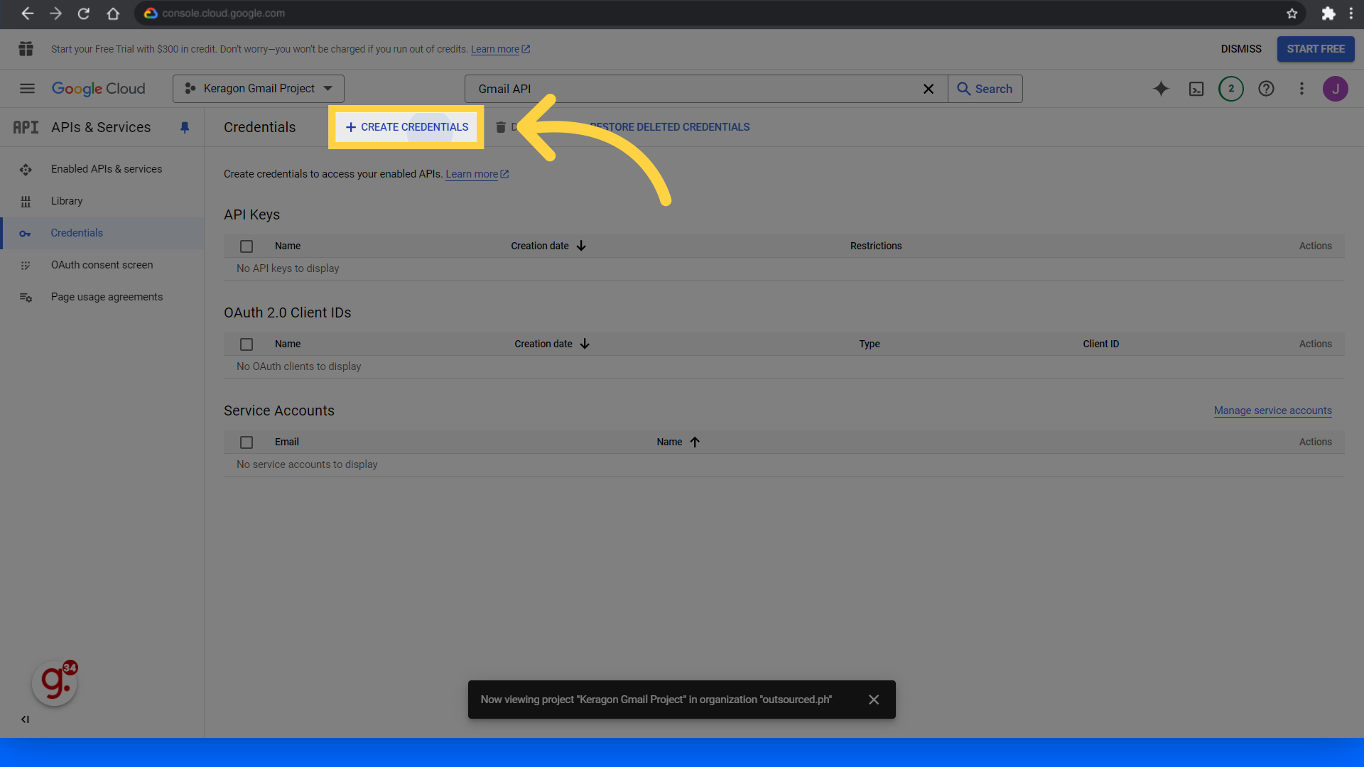 Click 'Create credentials'