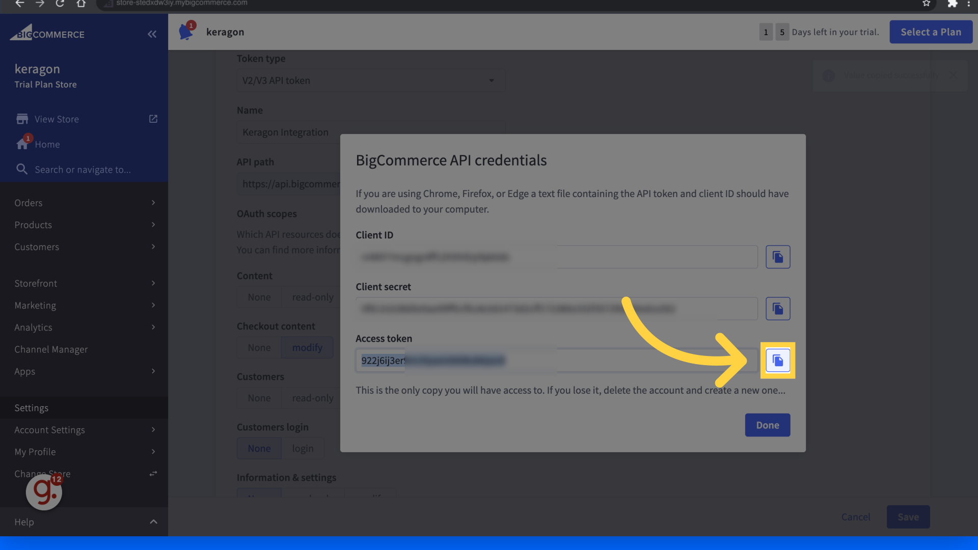Copy the 'access token'