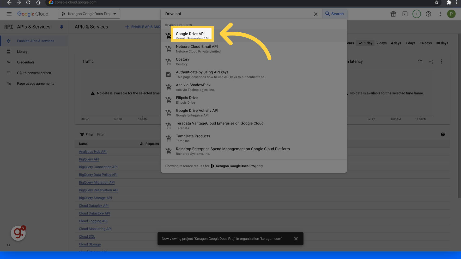 Click 'Google Drive API'