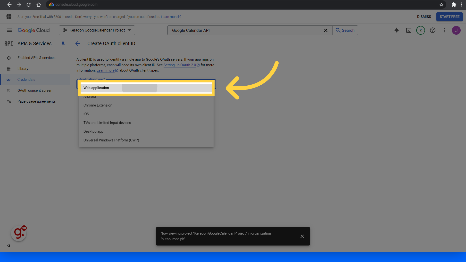 Click 'Web application'