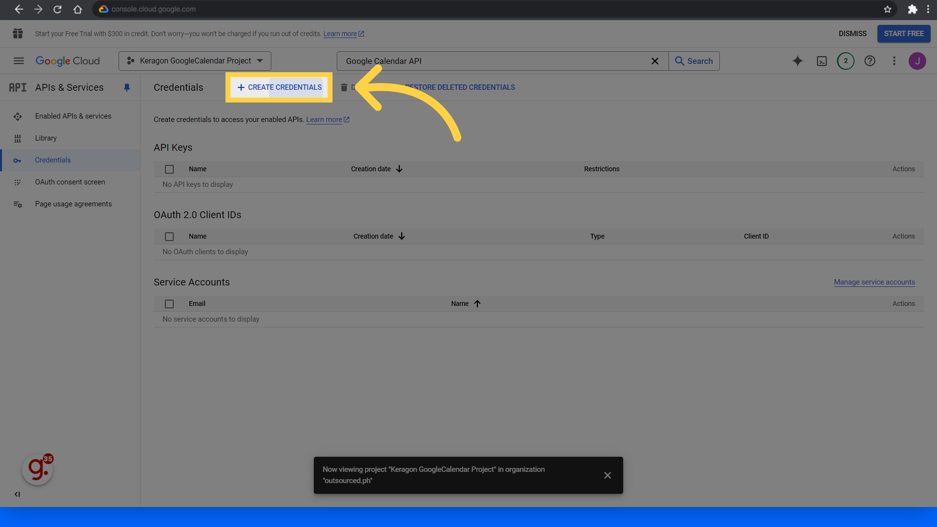 Click 'Create credentials'