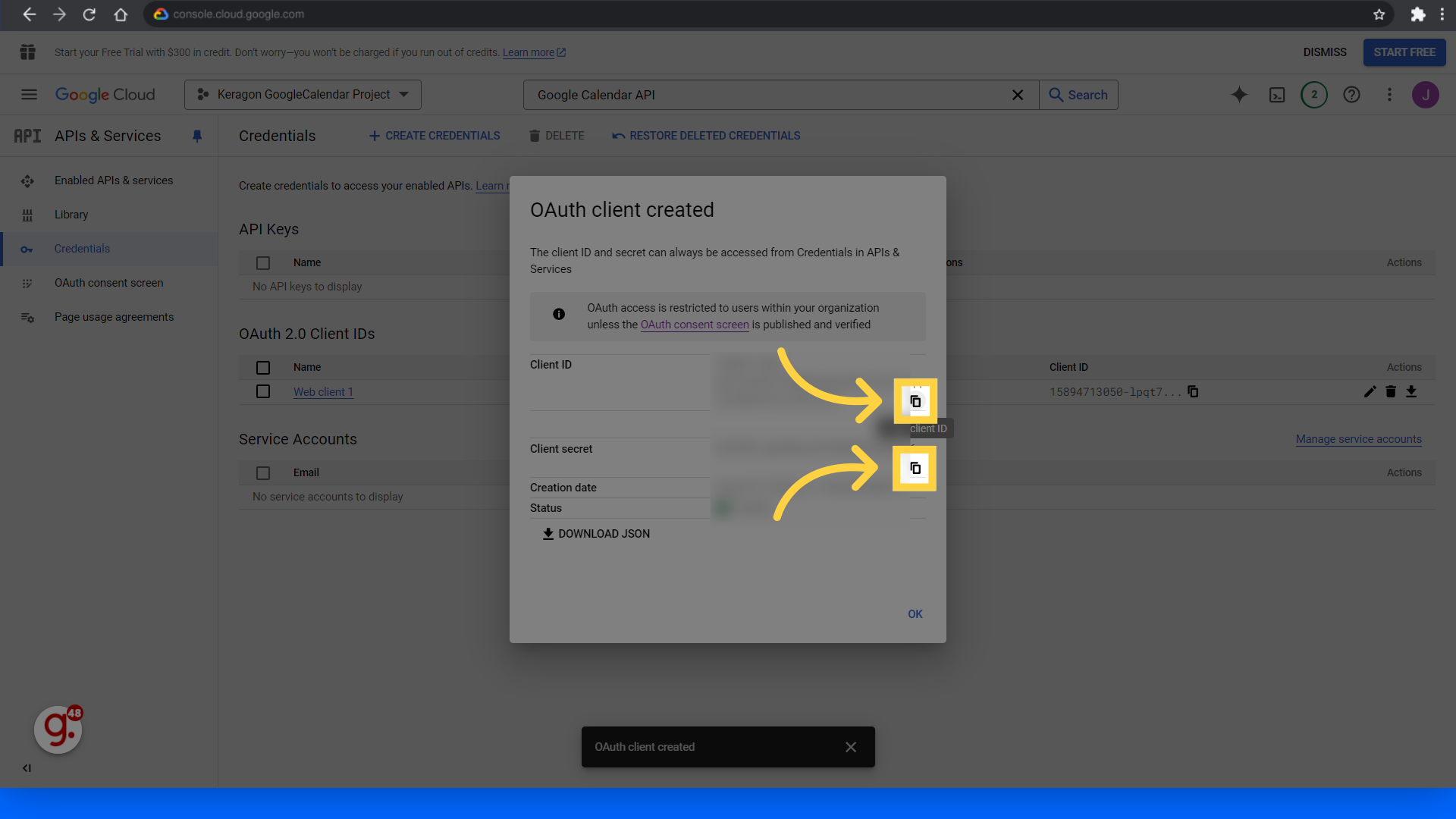 Copy your Client ID and Client Secret