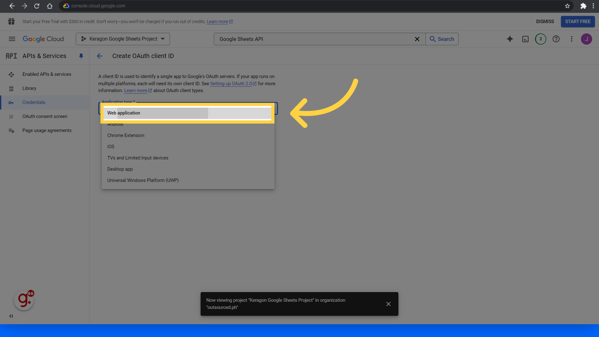 Click 'Web application'