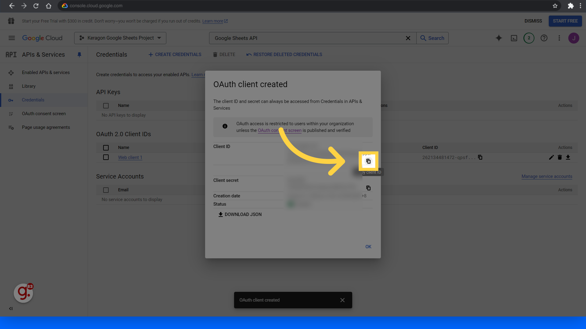 Copy your Client ID and Client Secret