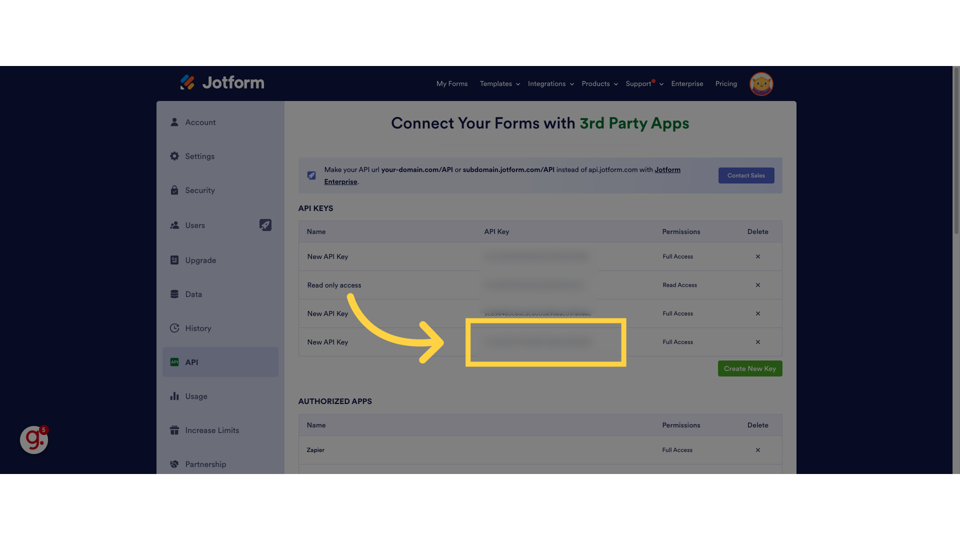 Copy your API key