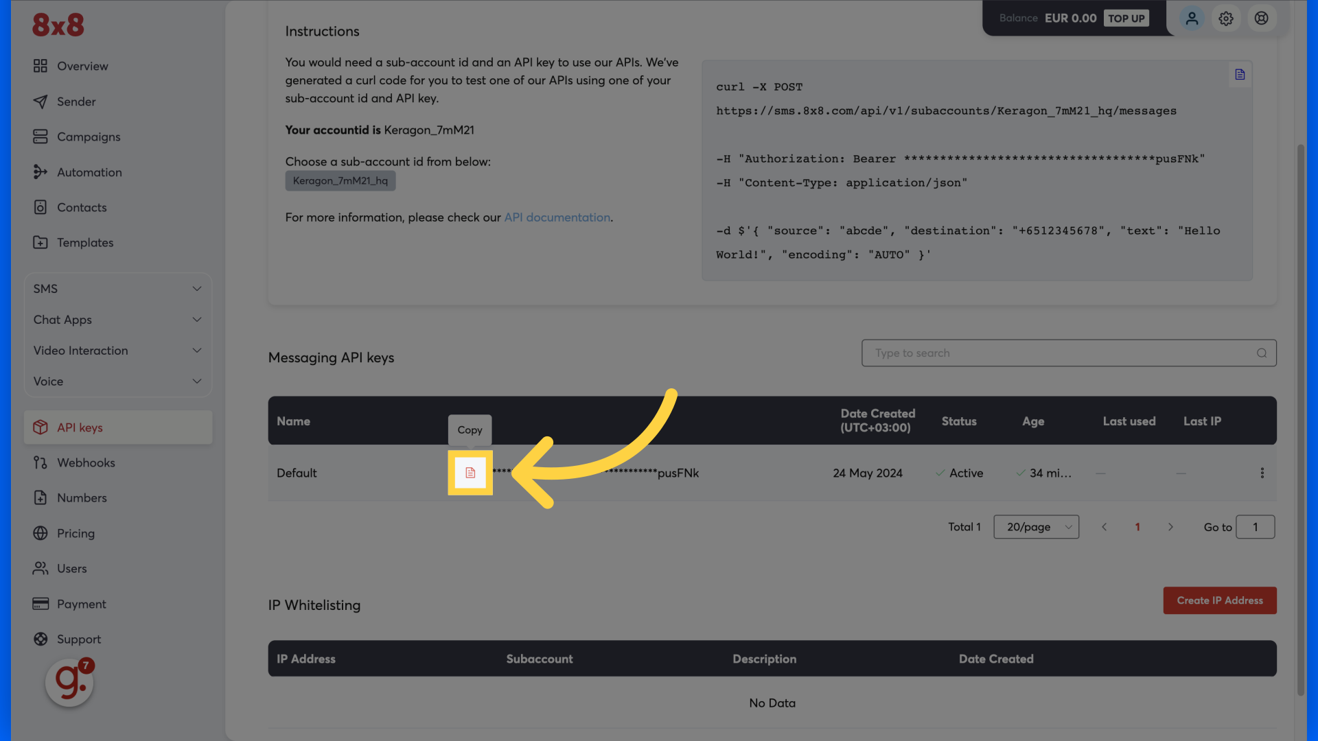 Click to copy your API key