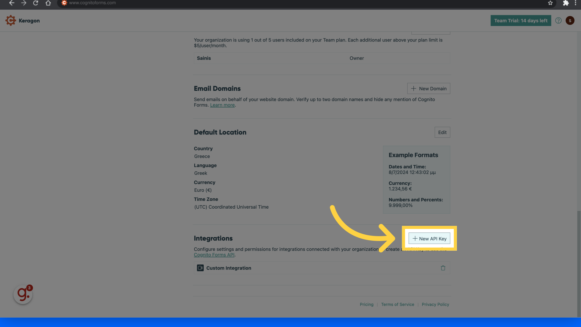 Click 'New API Key'