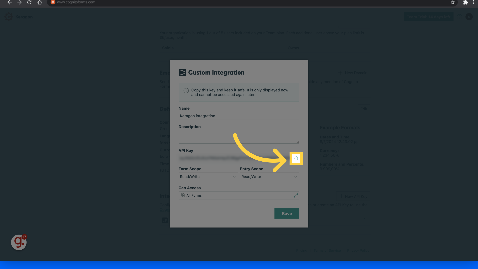 Copy API key