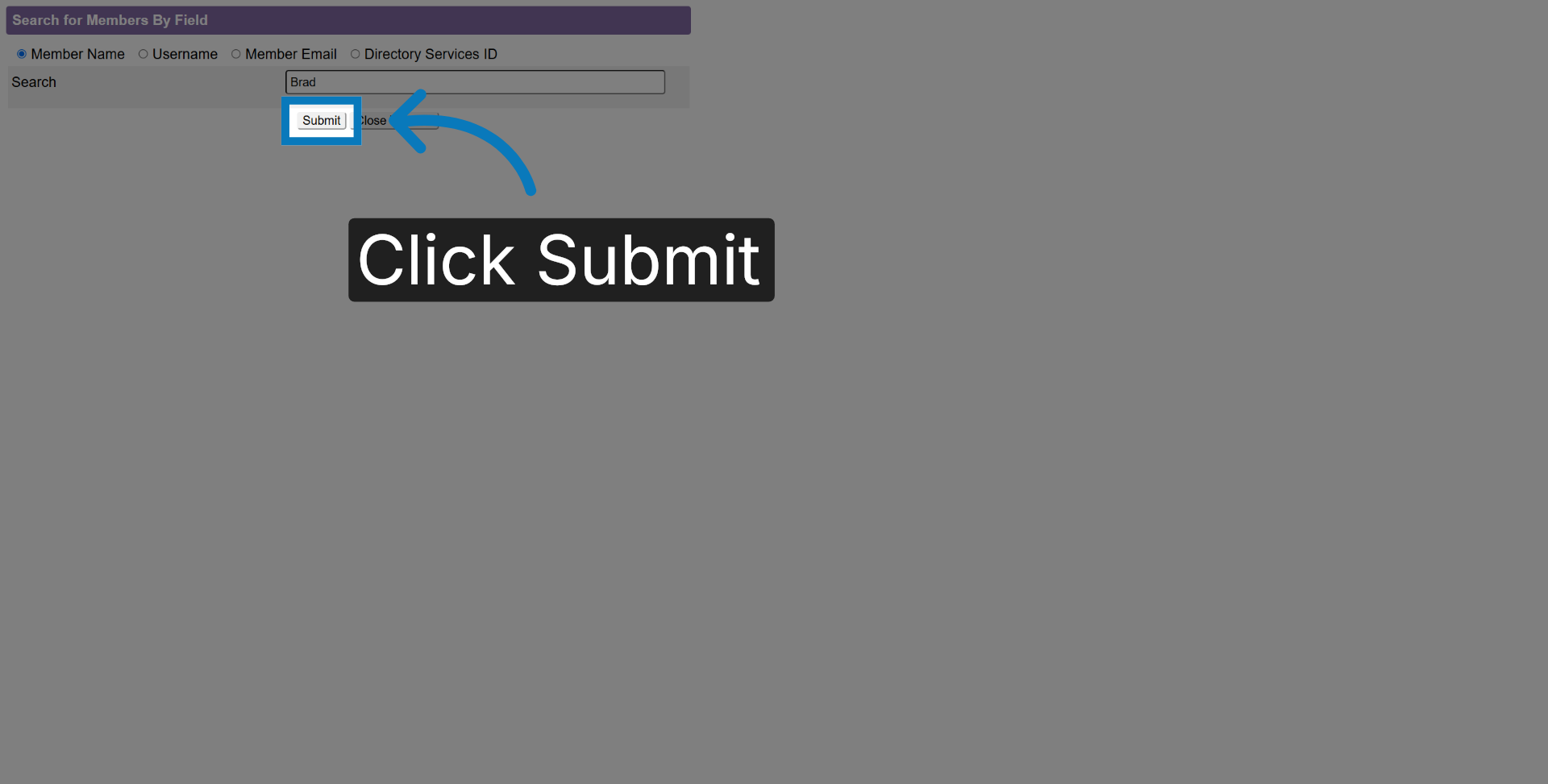 Submit Member Search