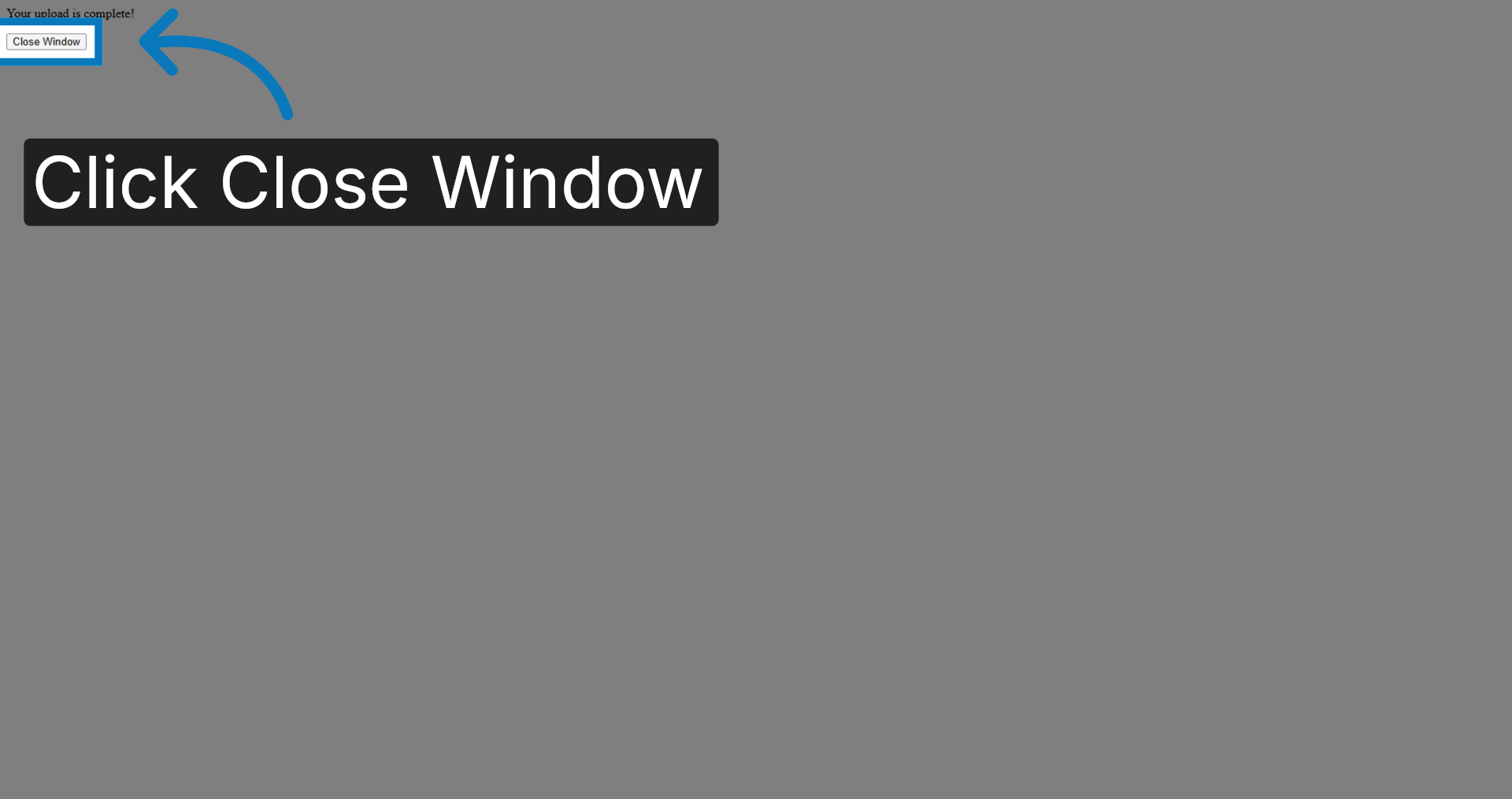 Close Import Window